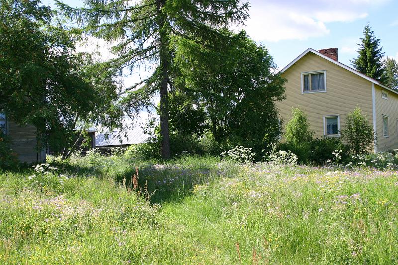 lehmila_juhannus_2005 045.jpg